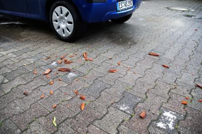 Kirchheim: Ein Gewitter sorgte in Kirchheim fuer mehrere Feuerwehreinsaetze